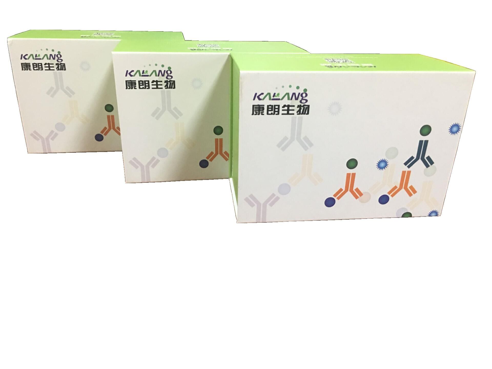 血管内皮生长因子(VEGF)检测试剂盒（ ELISA 方法）