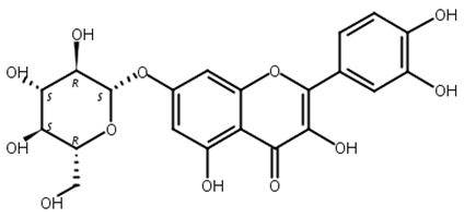 槲皮素-7-O-β-D-葡萄糖苷