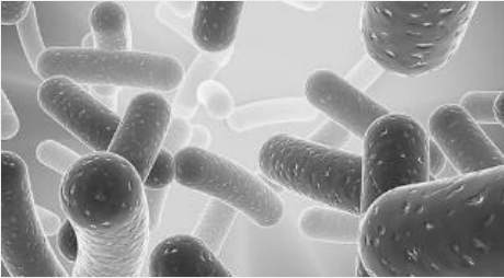 泛EGFR小分子抑制剂(Varlitinib)