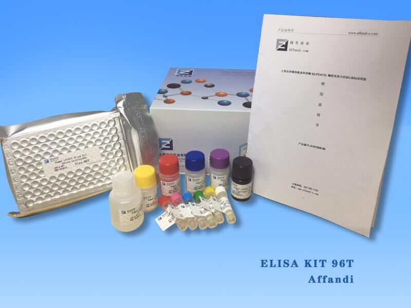 小鼠巨噬细胞炎性蛋白1δ(MIP-1δ/CCL15)ELISA试剂盒