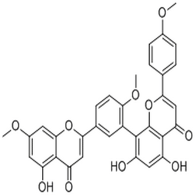 Sciadopitysin