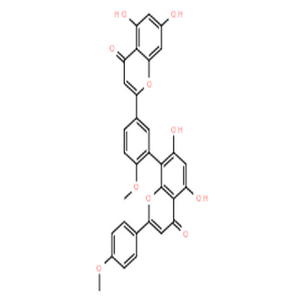 异银杏双黄酮
