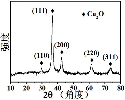 氧化亚铜；一氧化二铜；红色氧化铜