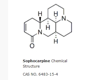 Sophocarpine