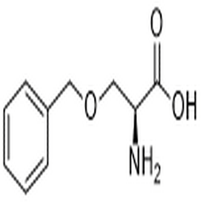 O-Benzyl-L-serine