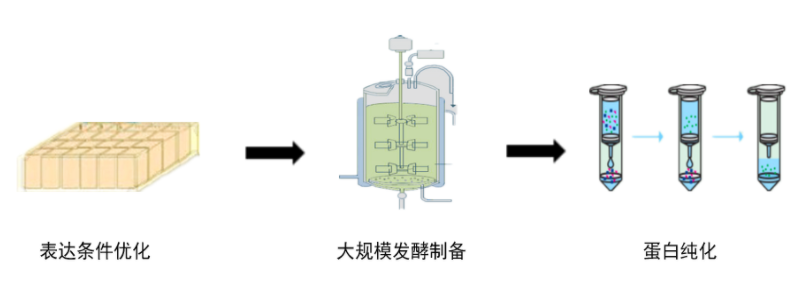 大规模发酵技术服务