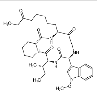 组蛋白脱乙酰酶抑制剂