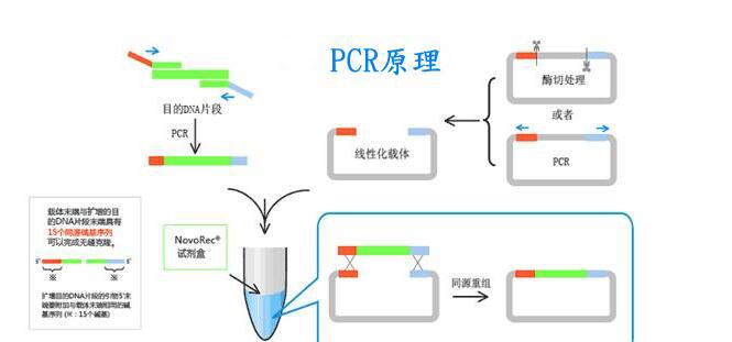 波氏奥斯特线虫PCR检测试剂盒