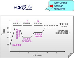 盖塔病毒探针法荧光定量RT-探针法荧光定量PCR试剂盒