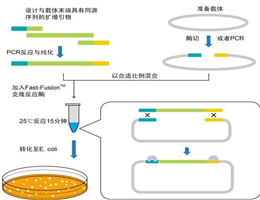 大肠杆菌通用探针法荧光定量PCR试剂盒(含致病性和非致病性)