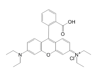 罗丹明 B