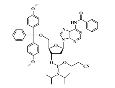 5'-O-(4,4'-二甲氧基三苯基)-N6-苯甲酰基-2'-脱氧腺苷-3'-(2-氰乙基-N,N-二异丙基)亚磷酰胺