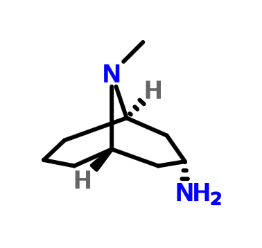 内向-3-氨基-9-甲基-9-氮杂双环[3,3,1]壬烷