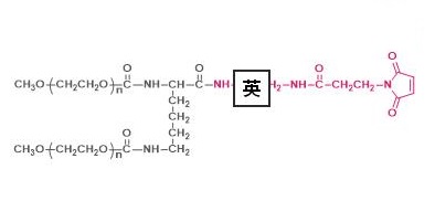 两臂聚乙二醇马来酰亚胺,2-arm PEG-MAL