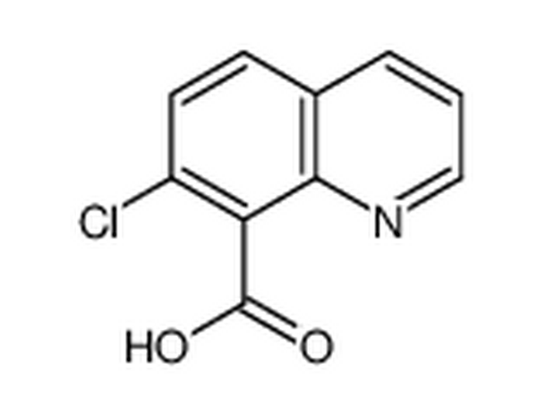 7-氯-8-喹啉羧酸