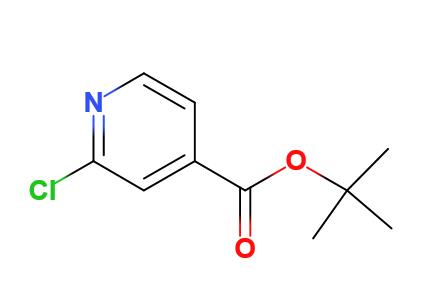 2-氯异烟酸叔丁酯