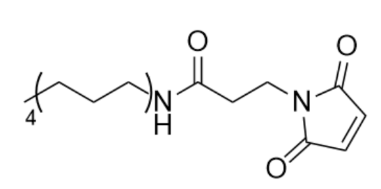 甲基-PEG4-琥珀酰亚胺