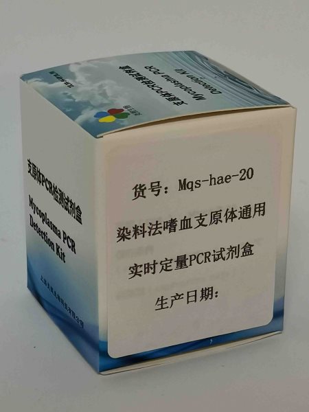 染料法嗜血支原体通用实时定量PCR试剂盒