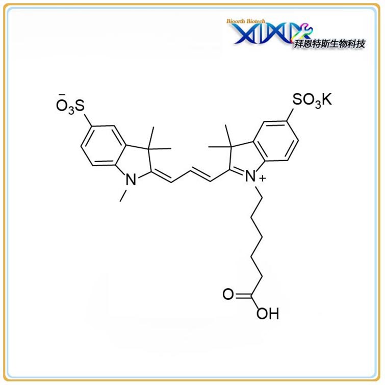 磺基-CY3 羧酸