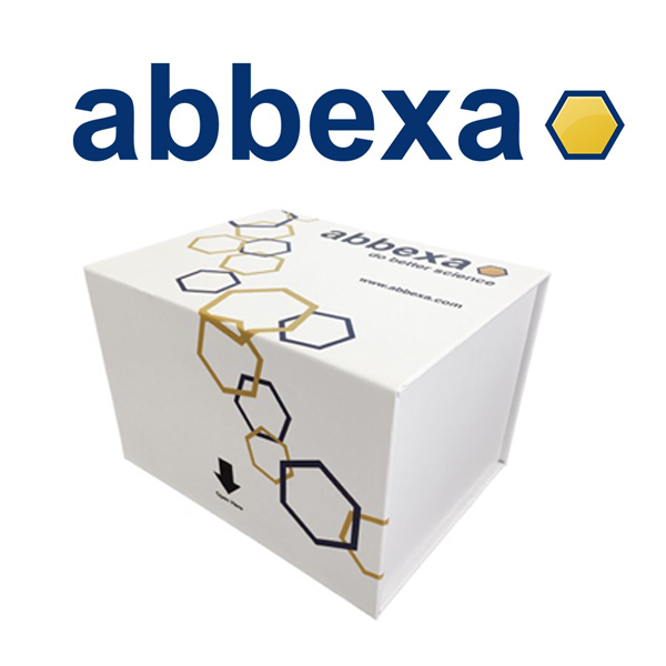 Abbexa