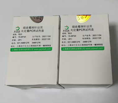 禽类支原体通用LAMP试剂盒