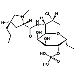 克林霉素杂质L