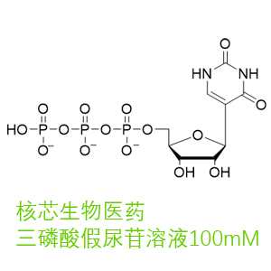 三磷酸假尿苷