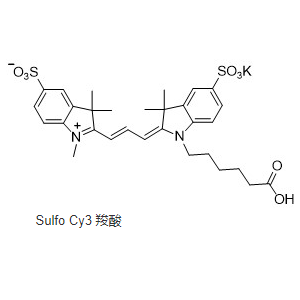 磺酸基-Cy3 羧酸