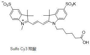 磺酸基-Cy3 羧酸