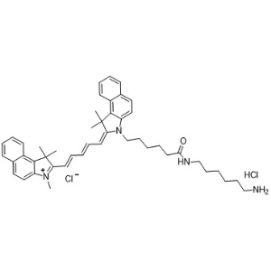 Cy5.5-氨基