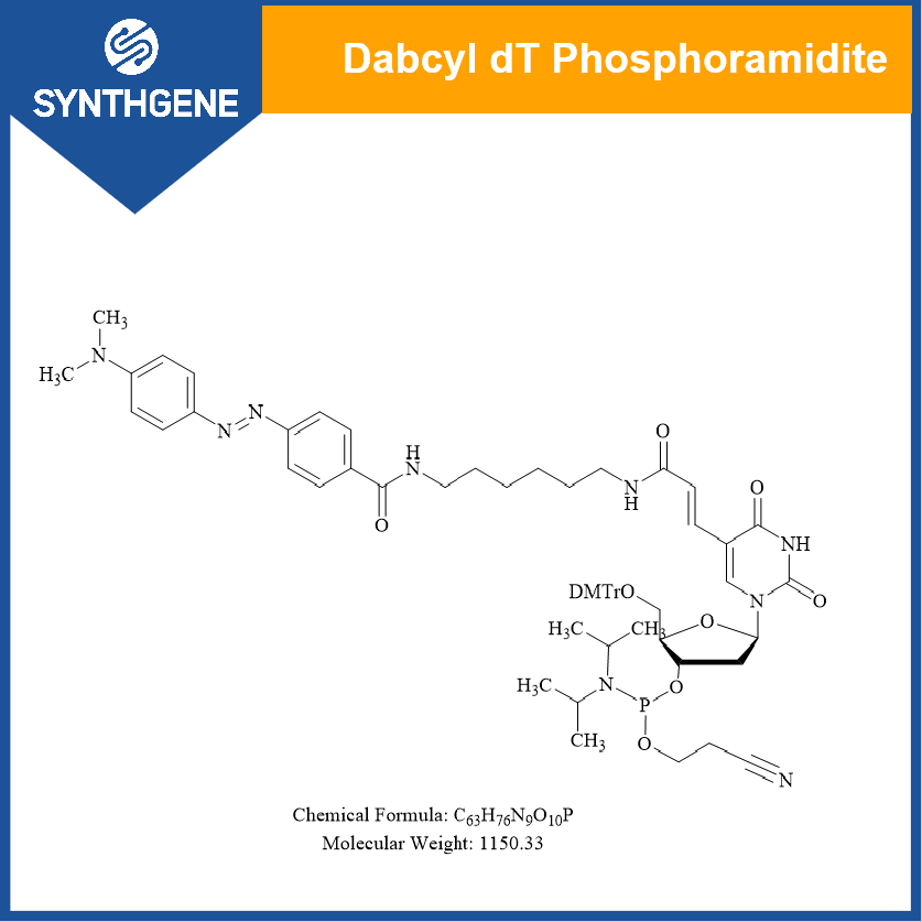 Dabcyl dT Phosphoramidite