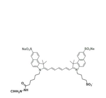 水溶性ICG吲哚菁绿-酰肼