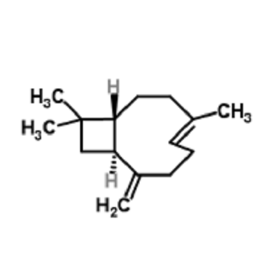 β-石竹烯