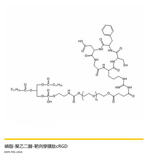 DSPE-PEG-cRGD，磷脂-聚乙二醇-靶向穿膜肽cRGD，一种靶向功能材料