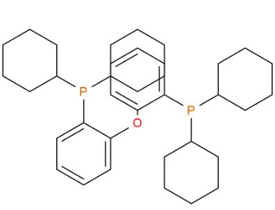 双(二环己基膦基苯基)醚