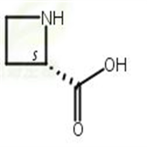 L-吖啶-2-羧酸