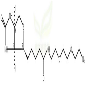 (+)-Biotin-PEG2-azide  CSA号：945633-30-7