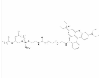 RB-PEG-DSPE DSPE-PEG-RB 磷脂聚乙二醇罗丹明B