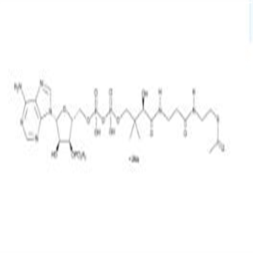 102029-73-2Acetyl Coenzyme A (sodium salt)