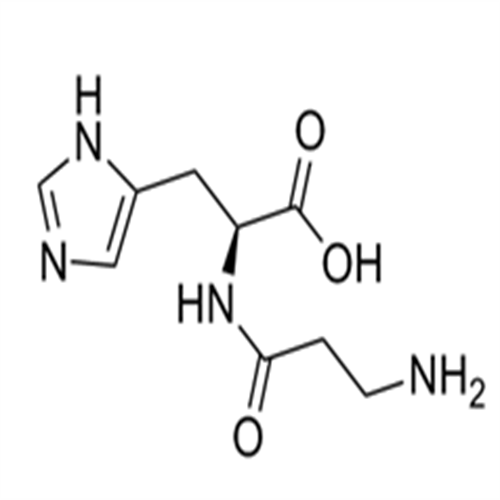 305-84-0L-Carnosine