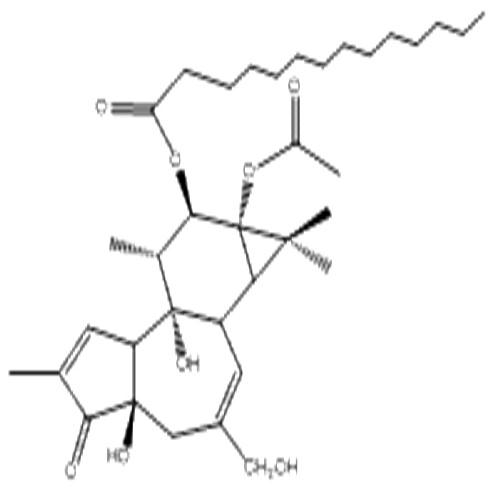 伏波酯-12-十四烷酸酯-13-乙酸酯.jpg