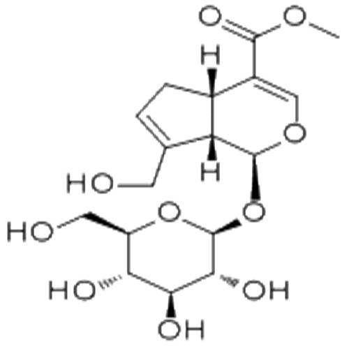 栀子苷