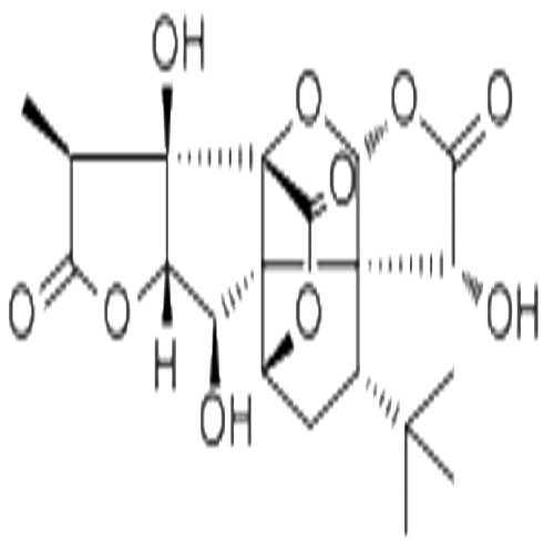 银杏内酯B