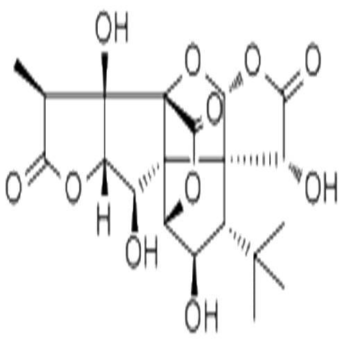 银杏内酯C.jpg