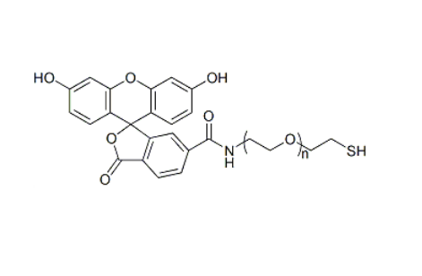 FITC-PEG-SH 荧光素-聚乙二醇-巯基