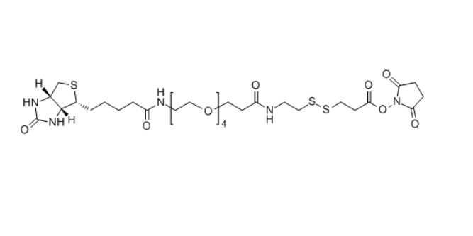 Biotin-PEG4-S-S-NHS 1260247-51-5 生物素-四聚乙二醇-S-S-活性酯