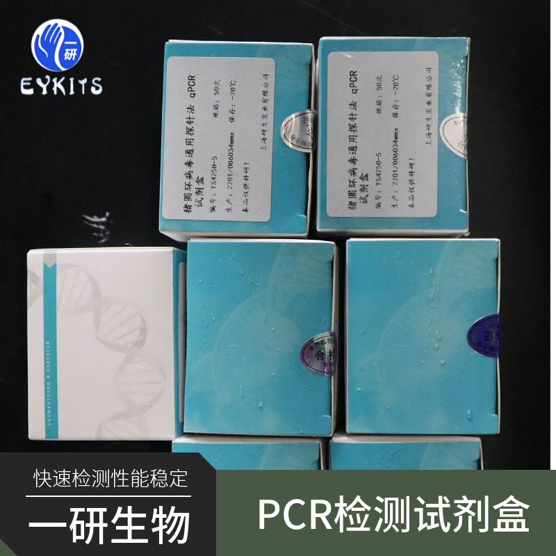 堪萨斯分枝杆菌PCR检测试剂盒