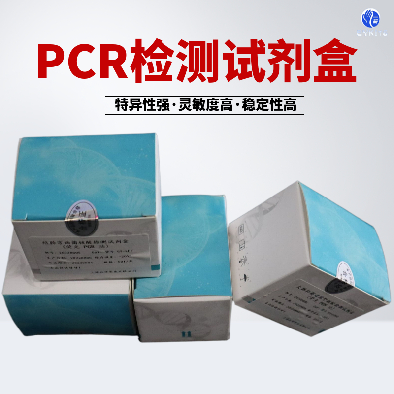 呼吸道合胞病毒PCR检测试剂盒