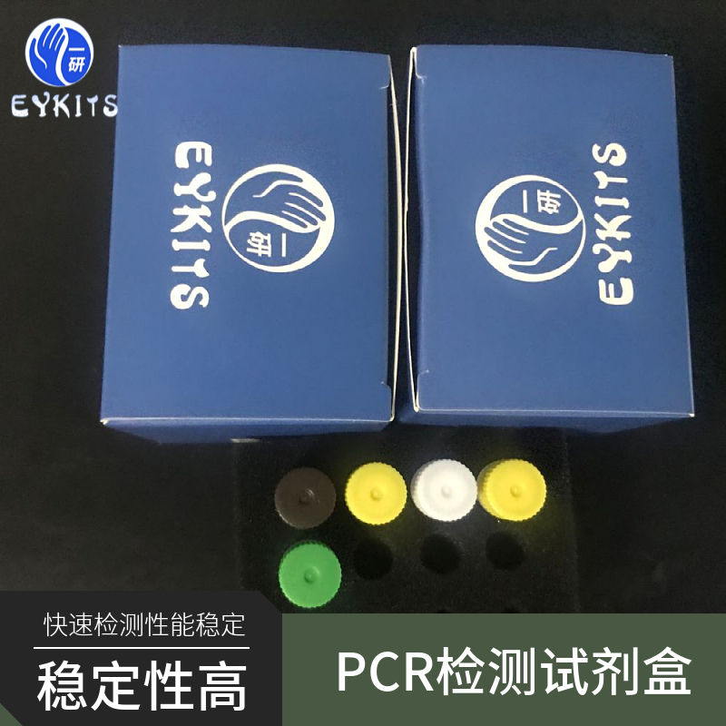 奈瑟菌通用PCR检测试剂盒