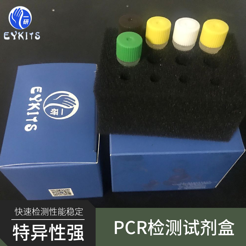 诺如病毒GⅠ型、GⅡ型RNA核酸（PCR-荧光探针法）